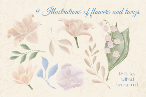 Set Plant Illustrati 